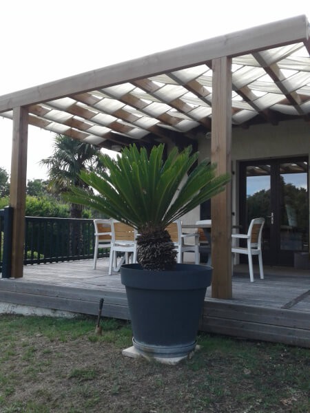 Brise-vue ombrage pour pergola originale
