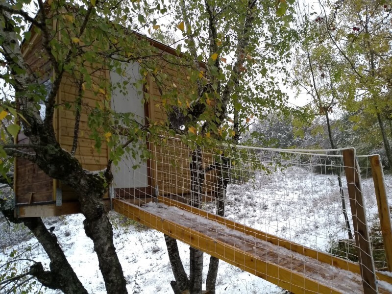 Filet périphérique pour passerelle dans les arbres