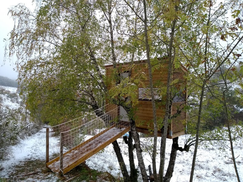 Passerelle sécurisée pour cabane perchée dans les arbres