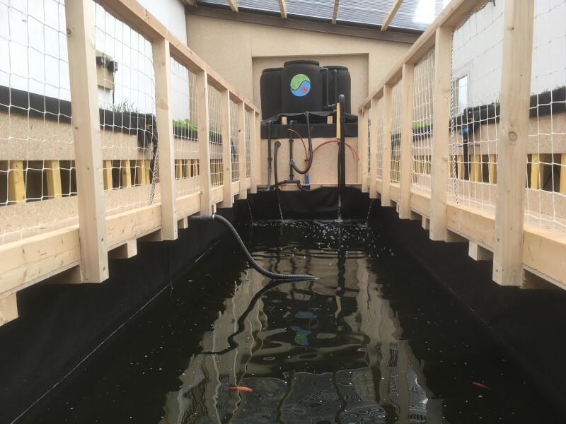 Filet de protection périphérique pour un bassin