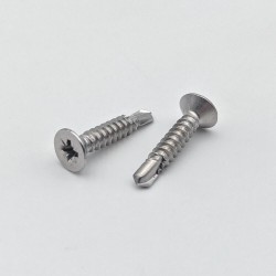 Vis Autoperceuse pour acier