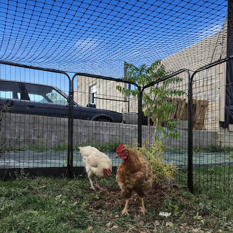 Filet de volière - Mailles 30 x 30 mm