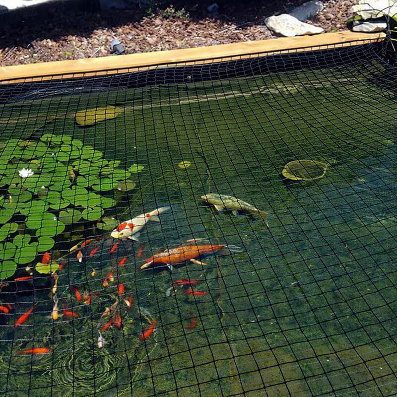 Filet de volière grandes mailles 50 x 50 mm