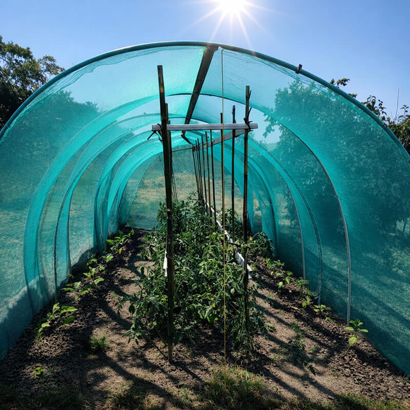 Filet brise vent - filtration 50% - vert, noir ou blanc