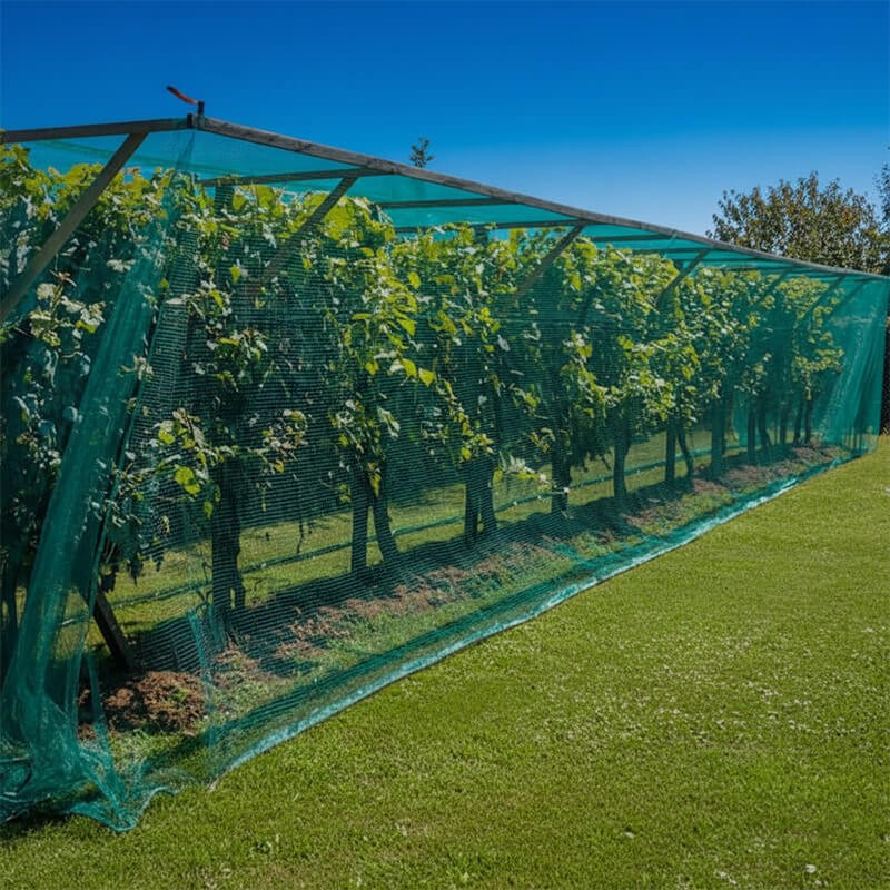 Rouleau de filet anti-insectes - Mailles 2 x 6 mm 