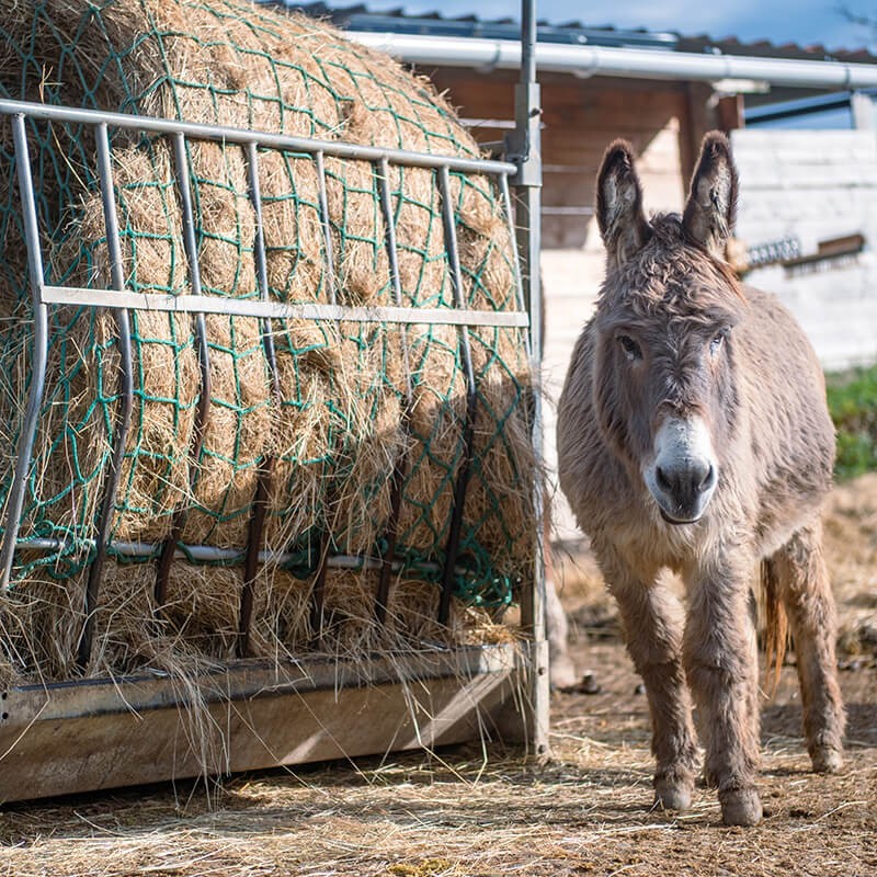 Filet pour mangeoire à chevaux robuste - Mailles 100 mm - ∅ 5 mm