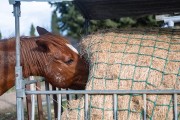 Filet à foin pour mangeoire à chevaux robuste - sur mesure - Mailles 100 mm - ∅ 5 mm