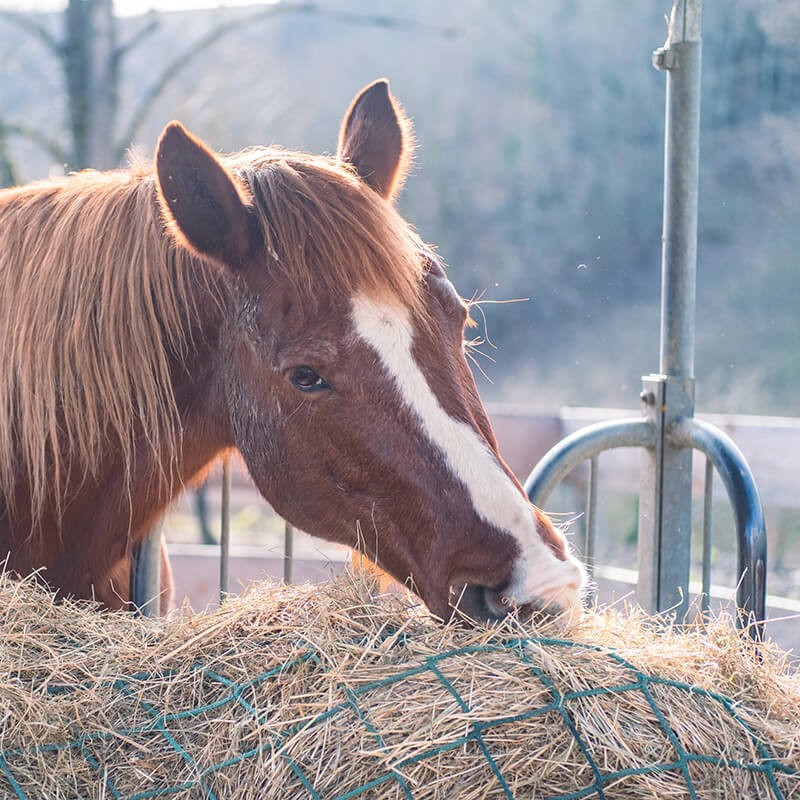 Filet pour mangeoire et ratelier à foin - Fil ∅ 5 mm