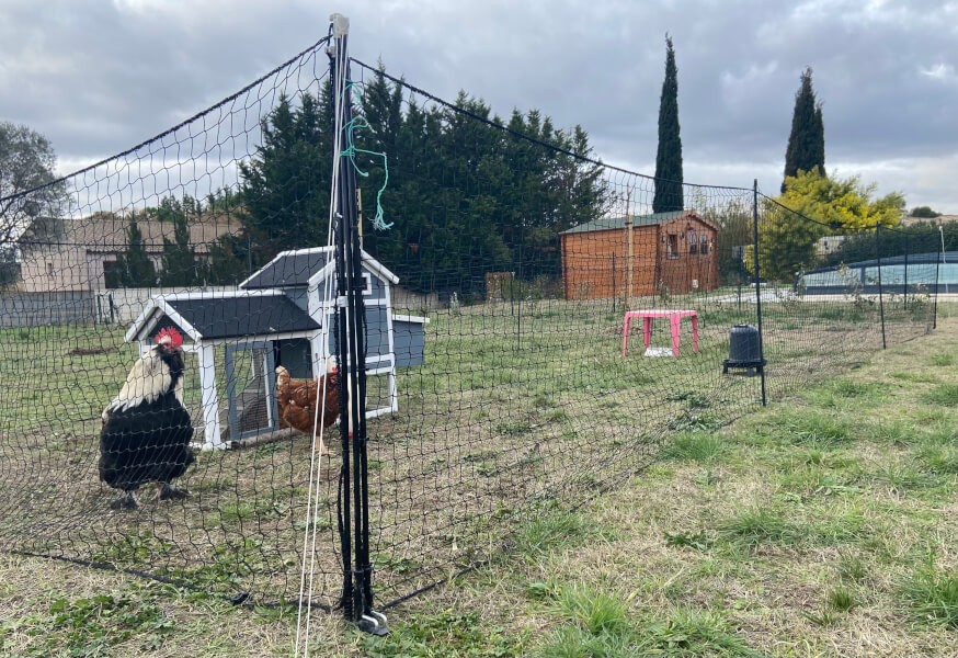 Filet de volière pour enclos mobile de poules