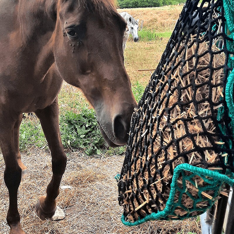 Filet à foin en forme de sac avec rabat - multi-mailles