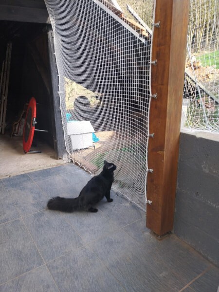 Filets de protection chat pour fermer une terrasse avec auvent