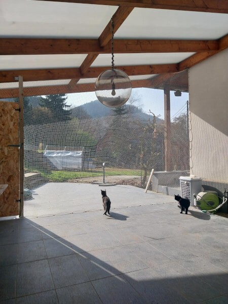 Filets de protection chat sur terrasse avec auvent pour fermer