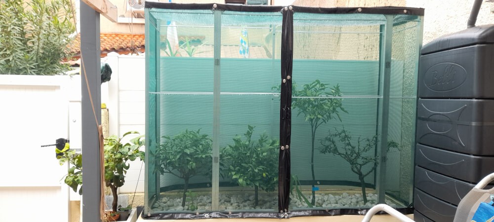 Filet protection arbres à agrumes contre les insectes