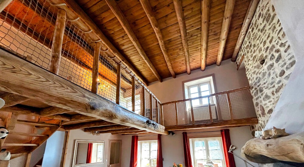 Sécuriser une mezzanine sans occulter la lumière