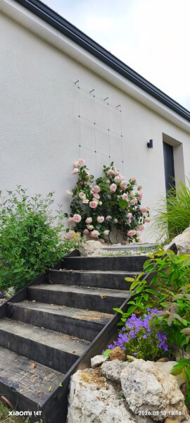 Installation du greenkit pour rosiers sur façade de maison
