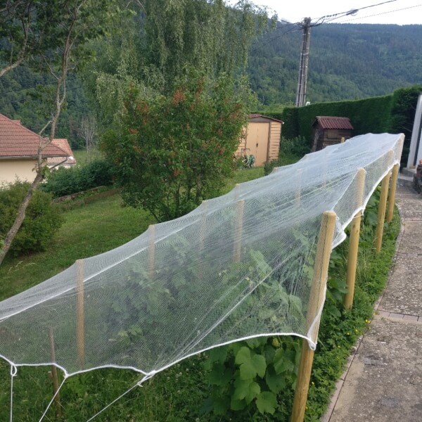 Filet anti-grêle installé sur des cultures