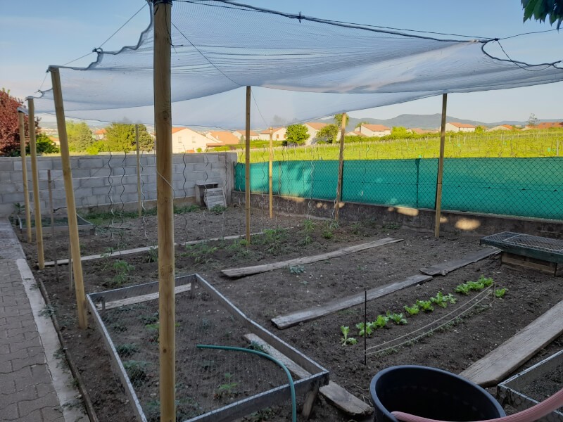 Filet anti-grêle pour protection de potager