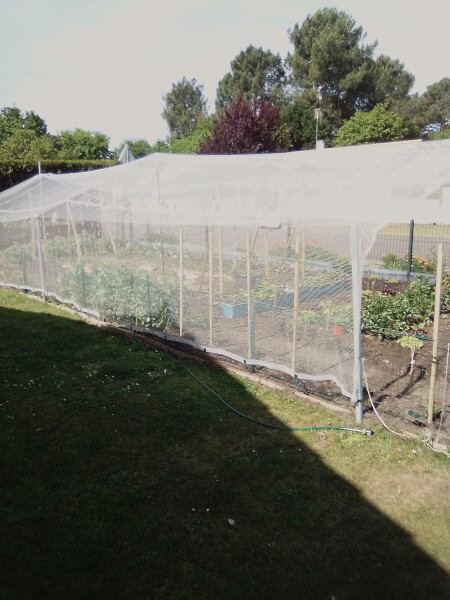 Filet anti-grêle blanc destiné à protéger un potager