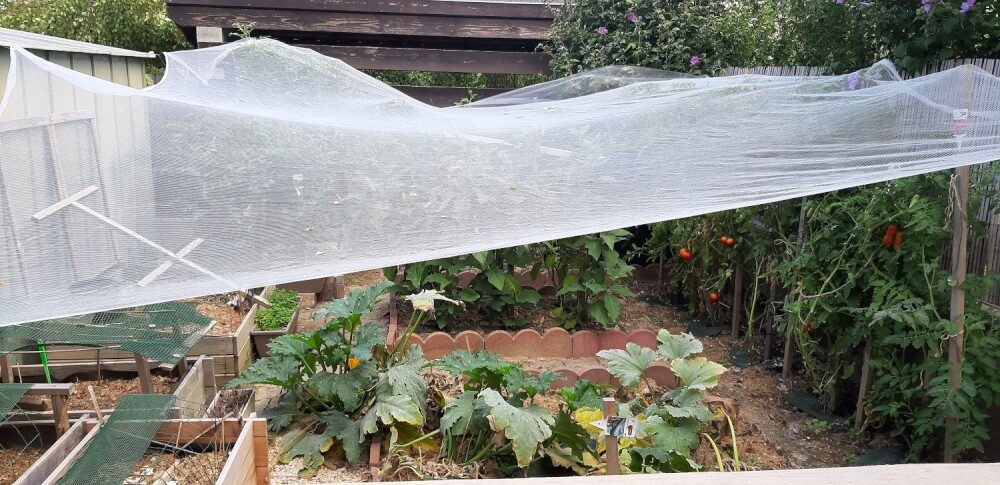 Filet anti-grêle destiné à protéger un potager