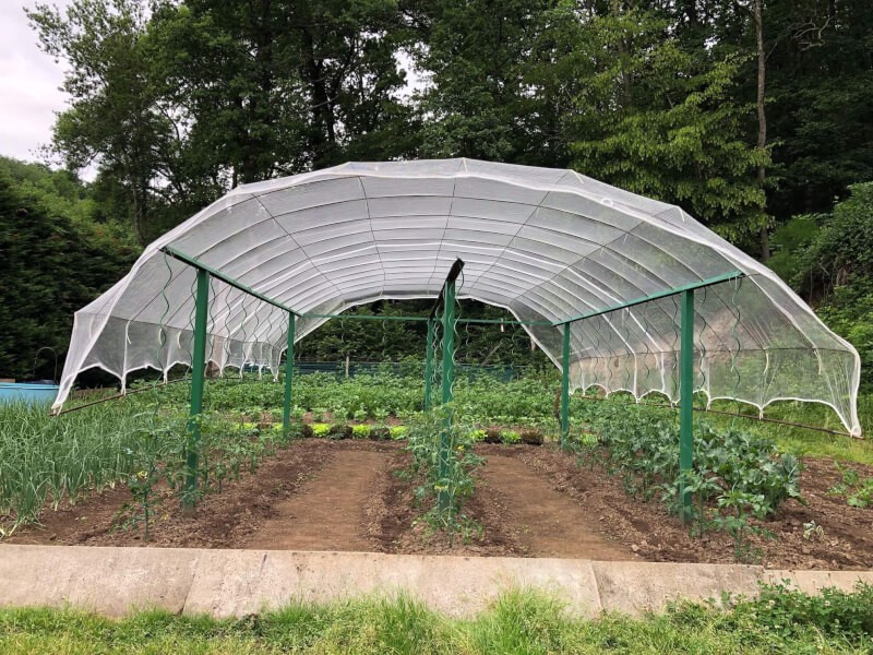 Filet anti grêle protection de culture de jardin