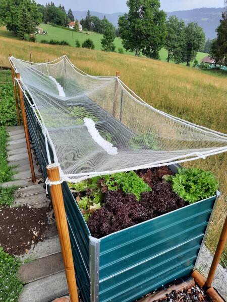Filet blanc anti grêlons protection de potager