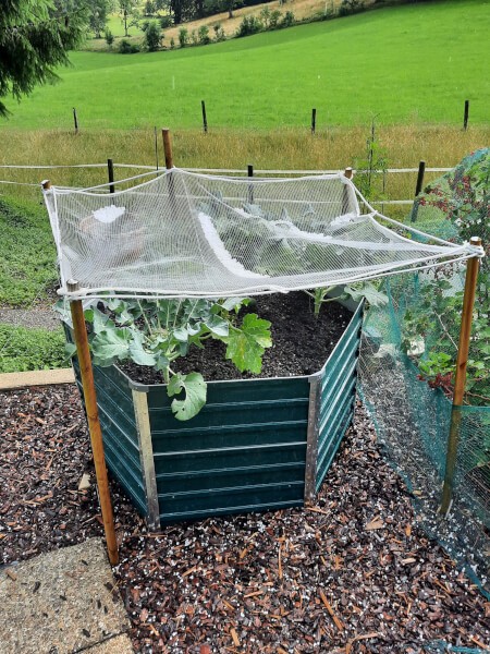 Filet blanc anti grêle fixé que poteau en bois protection de potager