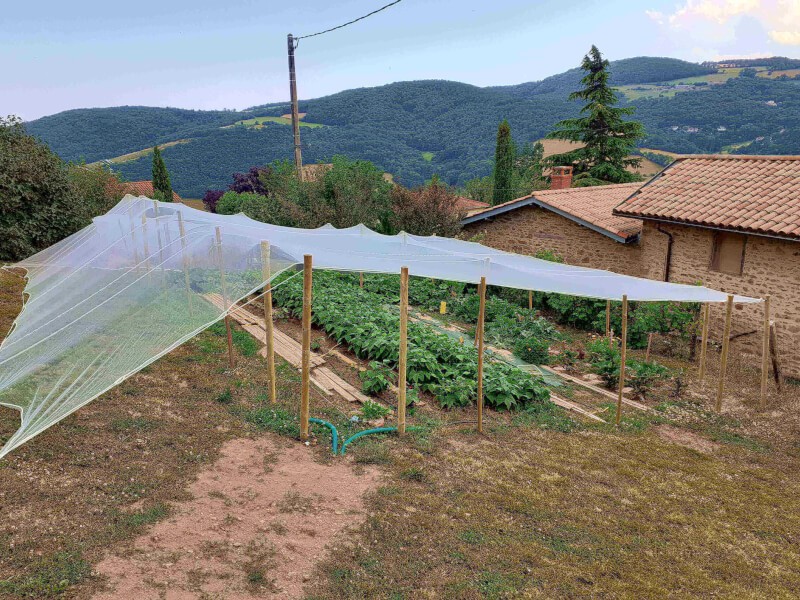 Filet anti grêle sur poteaux en bois pour protection de potager