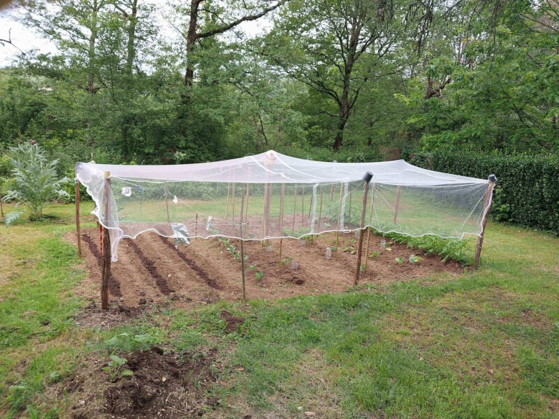 Filet grêle protection de potager sur piquet en bois
