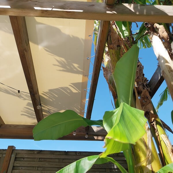 Ombrage de pergola en bâche PVC couleur ivoire
