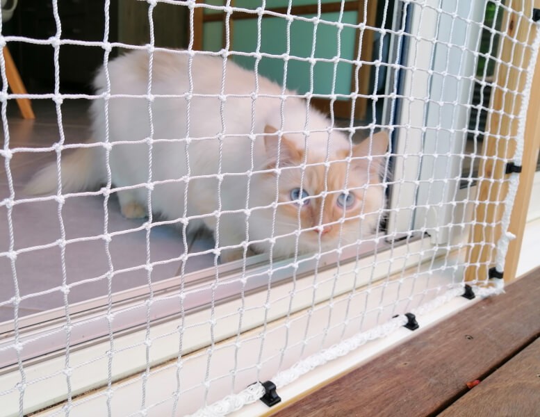 Filet de protection chat pour fermer la fenêtre tout en la laissant ouverte