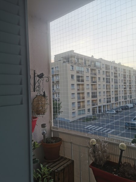 Sécuriser un balcon pour chats avec des tubes IRL