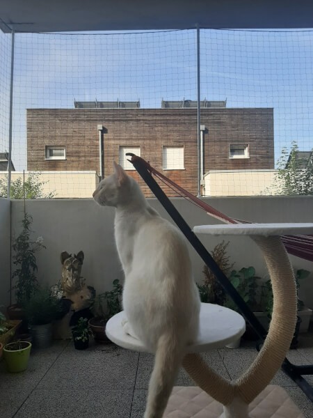 Filet de protection chats sur terrasse sans perçage avec tubes télescopiques douche