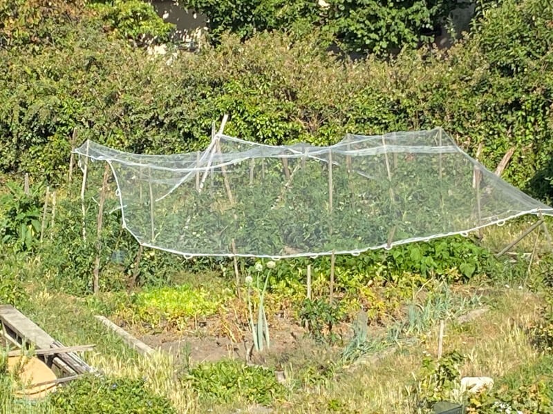Filet anti-grele protéger son potager - 4 x 6 mètres