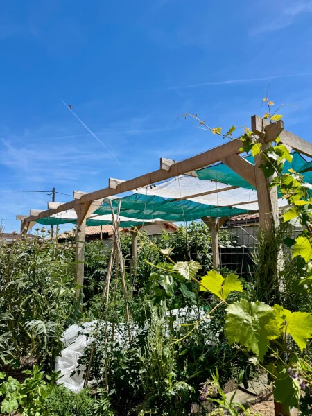 Filet d'ombrage pour potager