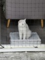 Filet de protection pour chat économique - Mailles 50 mm - ∅ 1 à 1,3 mm