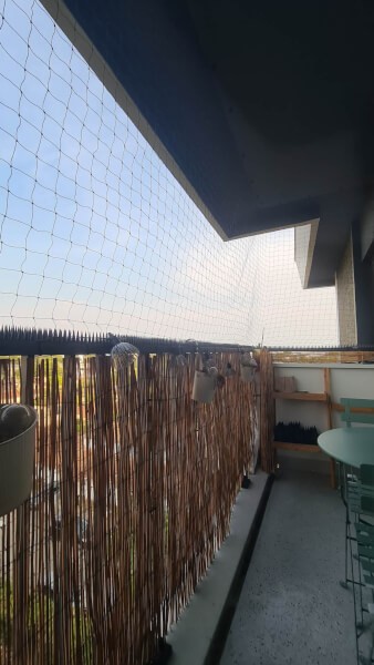 Solution pour éviter les pigeons sur son balcon