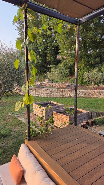 Filet à ramer sur pergola pour vigne