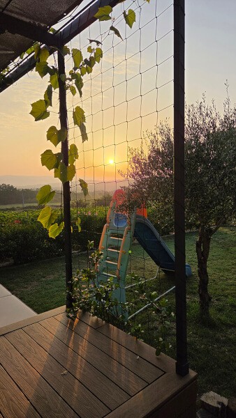 Filet à ramer sur pergola en support de vigne