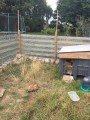 Filet de protection pour chat économique - Mailles 50 mm - ∅ 1 à 1,3 mm