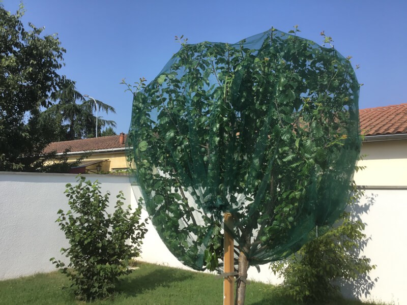 Filet renforcé pour arbres fruitiers - 5x12 m - Vente en ligne au meilleur  prix