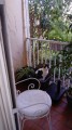 Filet de protection pour chat économique - Mailles 50 mm - ∅ 1 à 1,3 mm