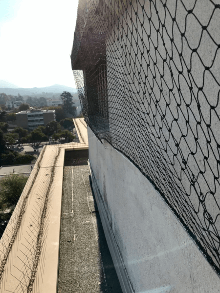 Filet anti pigeons et goélands sur toit d'un immeuble