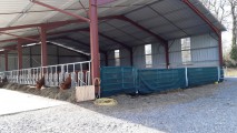 Filet brise-vent - Filtration très forte - Filtration très forte (± 90%) - Très efficace contre la pluie