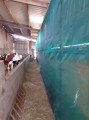 Filet brise-vent - Filtration très forte - Filtration très forte (± 90%) - Très efficace contre la pluie