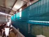 Filet brise-vent - Filtration très forte - Filtration très forte (± 90%) - Très efficace contre la pluie