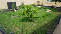 Filet de protection pour chat économique - Mailles 50 mm - ∅ 1 à 1,3 mm