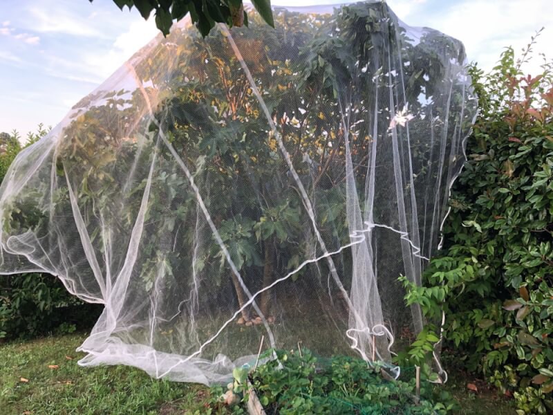 Filet de protection pour arbre fruitier signé Jardin et Saisons