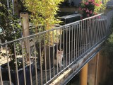 Filet de protection pour chat économique - Mailles 50 mm - ∅ 1 à 1,3 mm