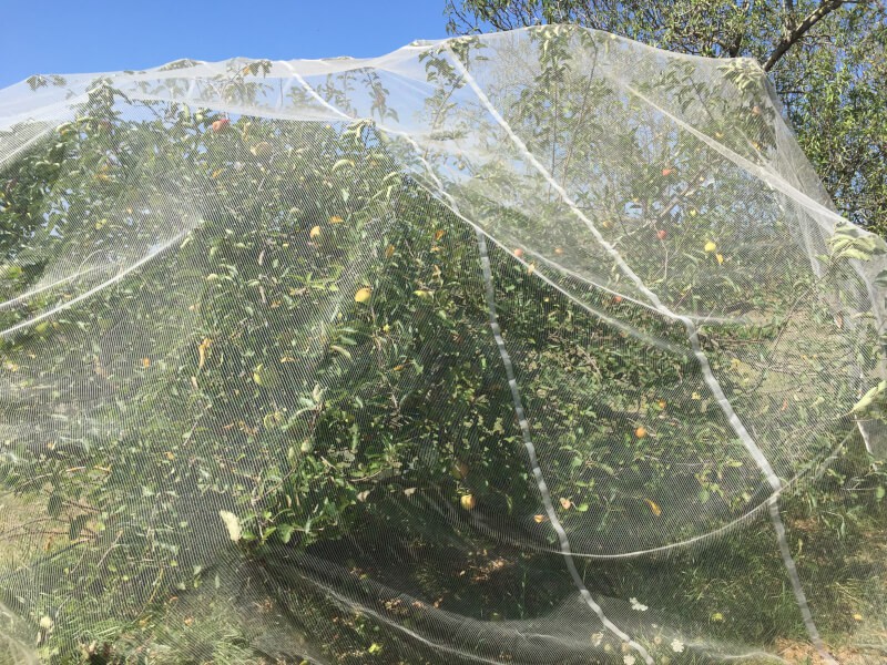 Filets De Jardin Épais De Grande Taille, Cage D'arbre À Fruits