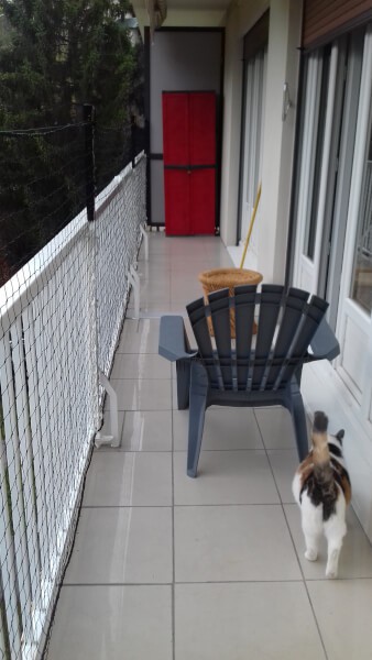 Filet de protection pour chat installé sur rambarde balcon